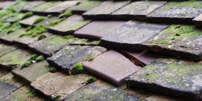 Ellesmere roof repair costs